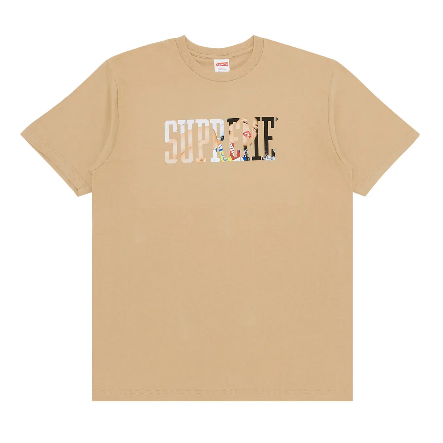 Supreme Tera Patrick Collegiate Tee Khaki