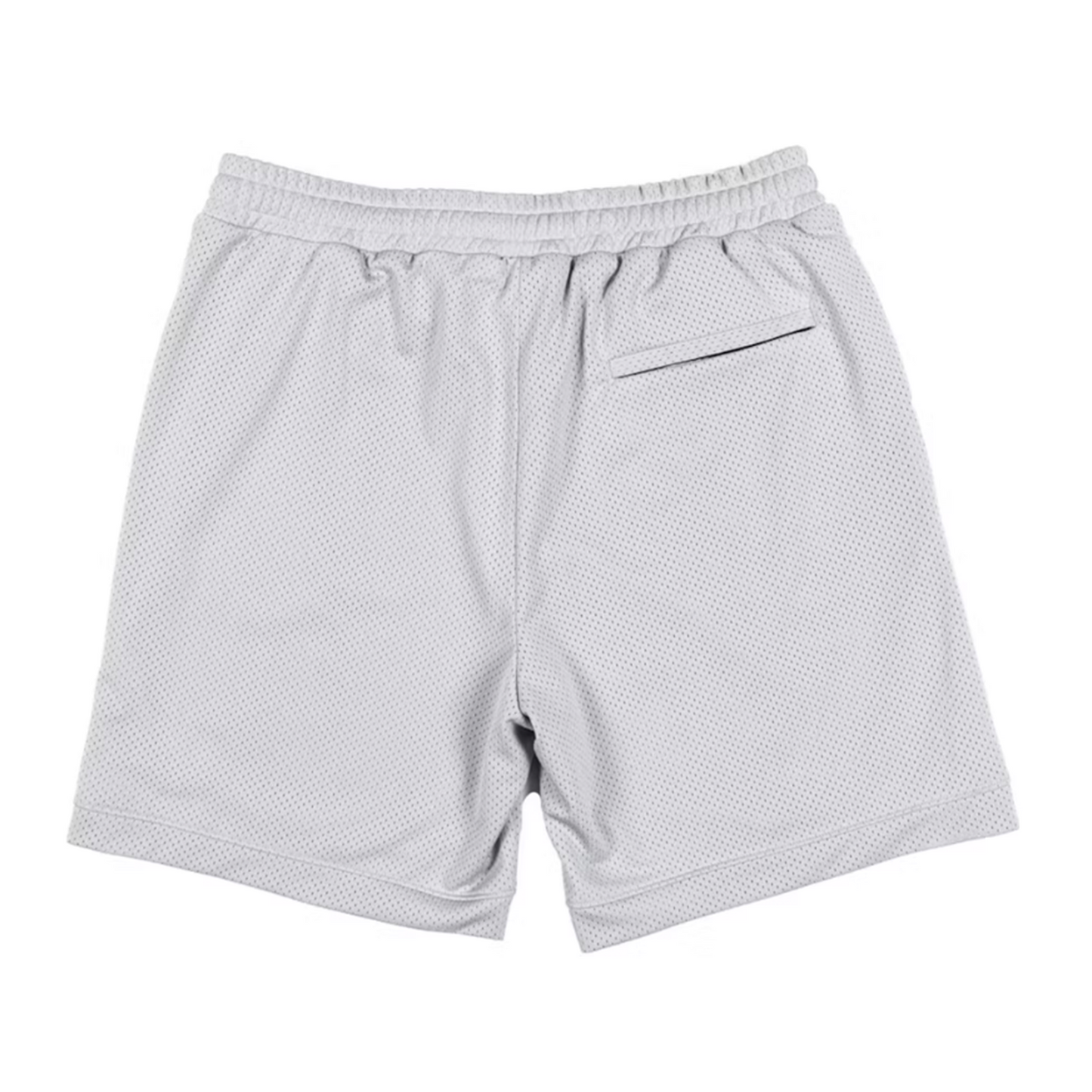 Hidden NY Mesh Short Silver