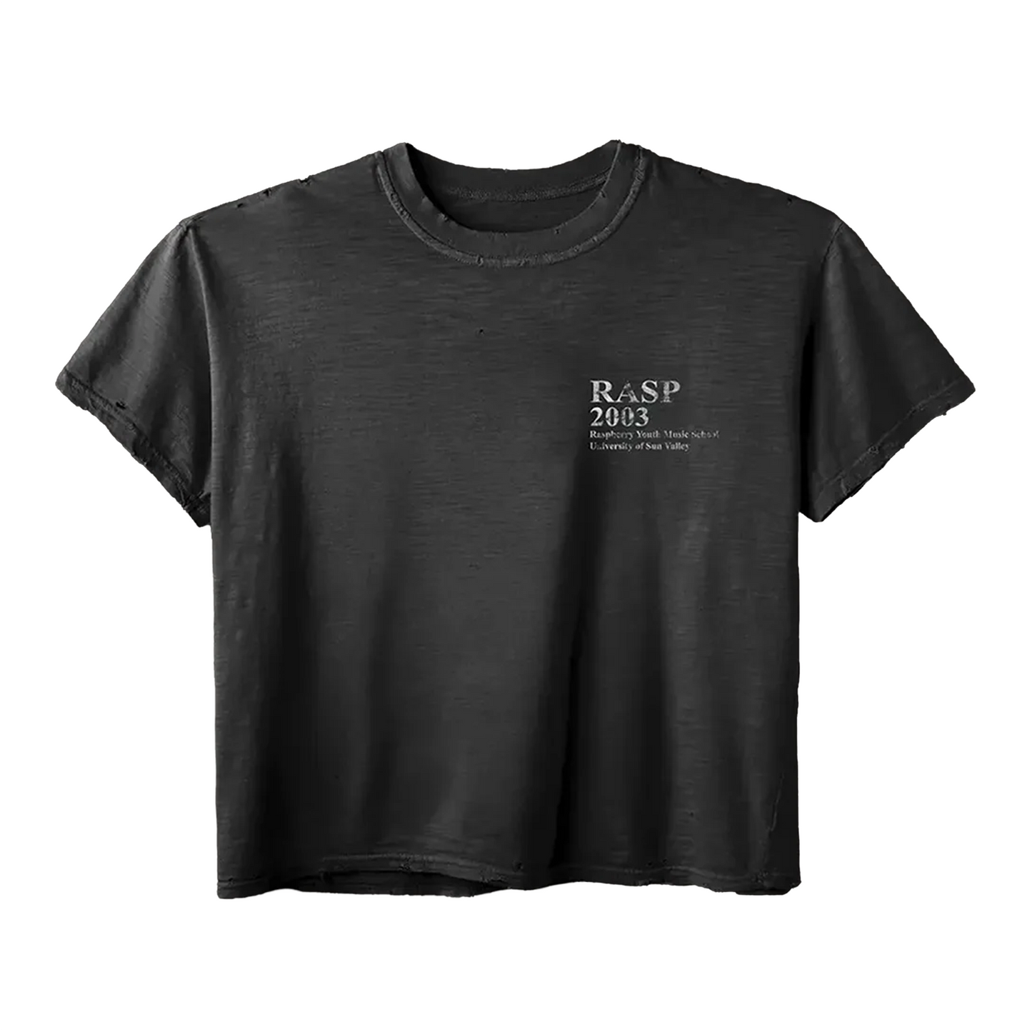 GV Gallery Raspberry Hills Music Tee