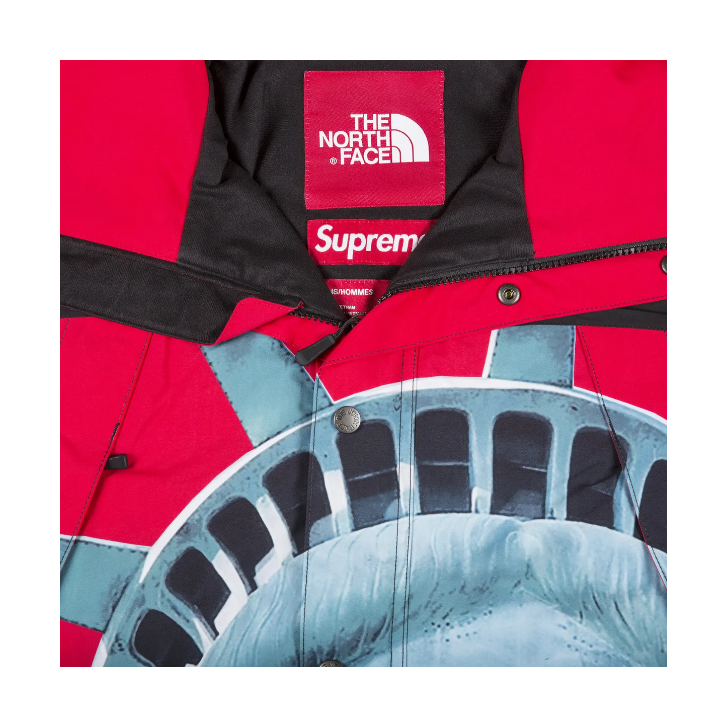 Supreme The North Face Statue of Liberty Mountain Jacket Red