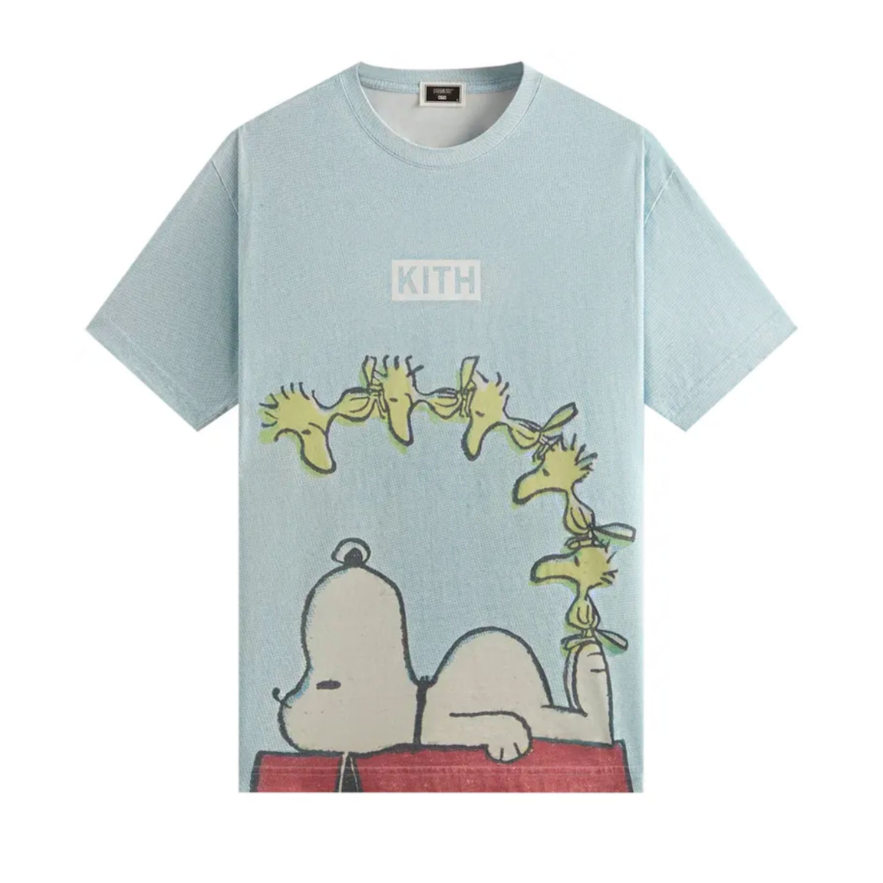 Kith For Peanuts Woodstock Doghouse Comic Vintage Tee Glisten