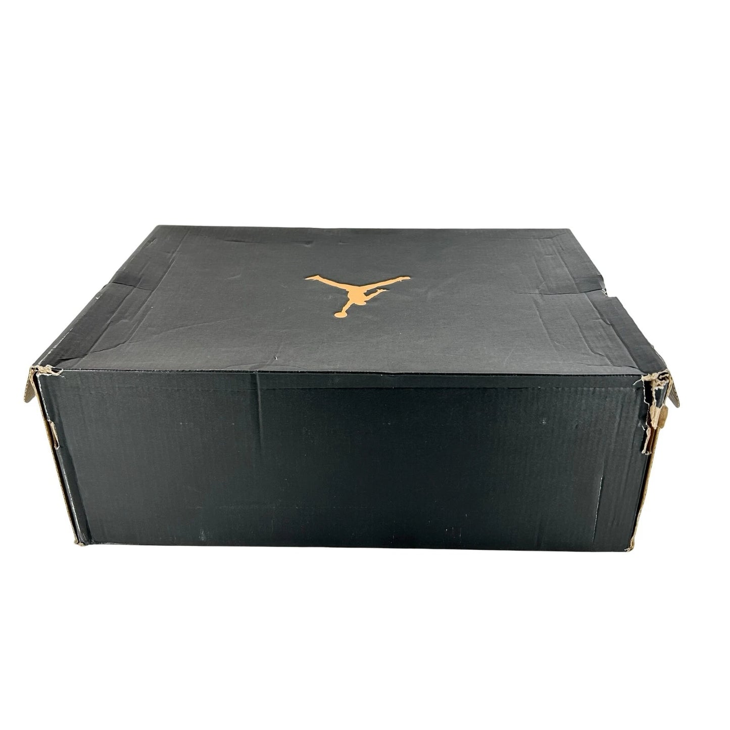 705178 045 Air Jordan 10 Retro Lady Of Liberty 2015 - 11.5 M (Soles Yellowing)