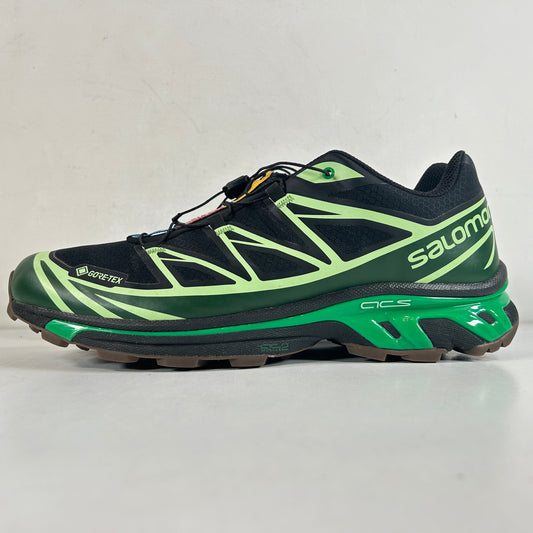 L4729210034 Salomon Advanced XT-6 Gore-Tex Eden Green Ash [USED] - 11 M (Used)