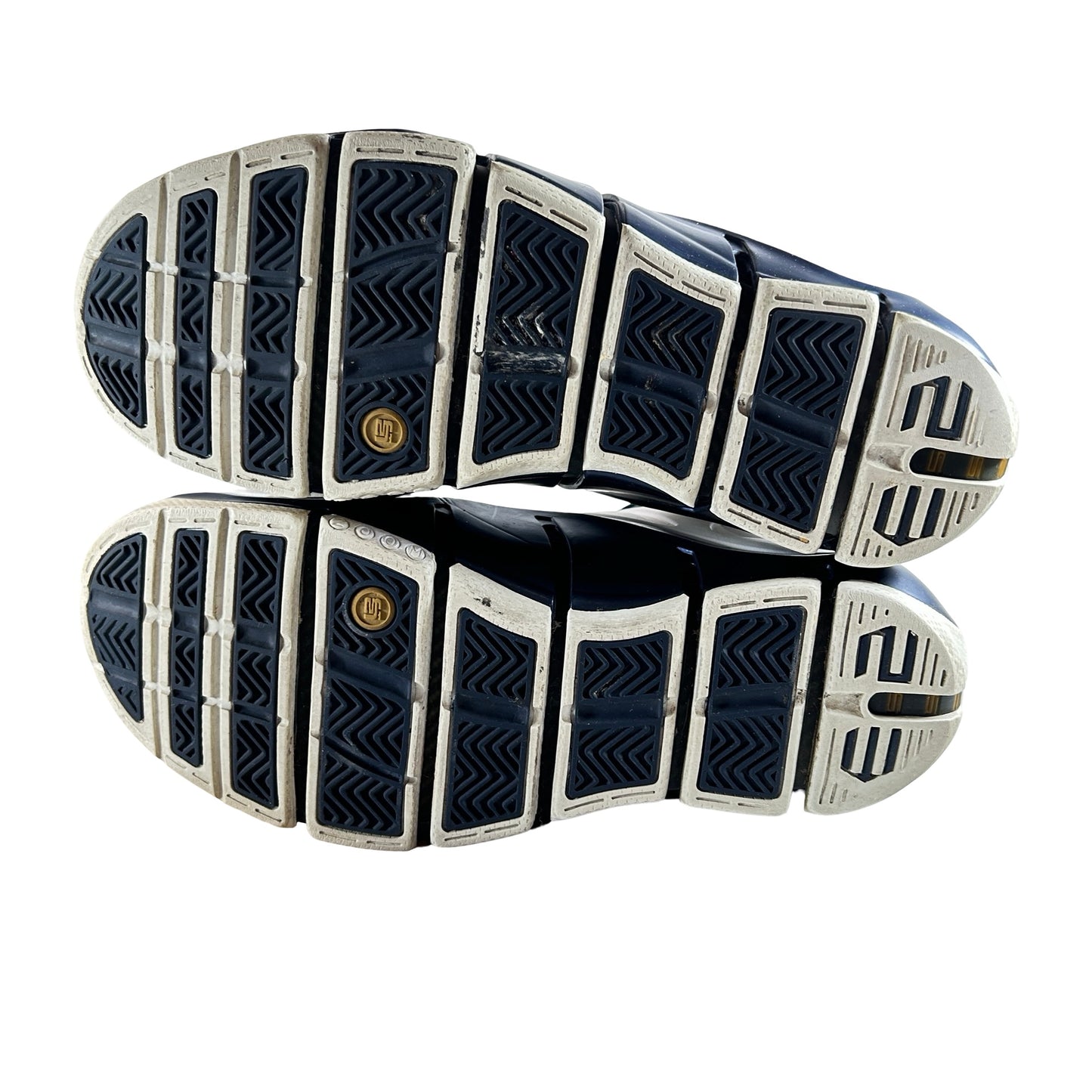 314647 111 Nike LeBron 4 West Coast [USED] - 9.5 M (Used)