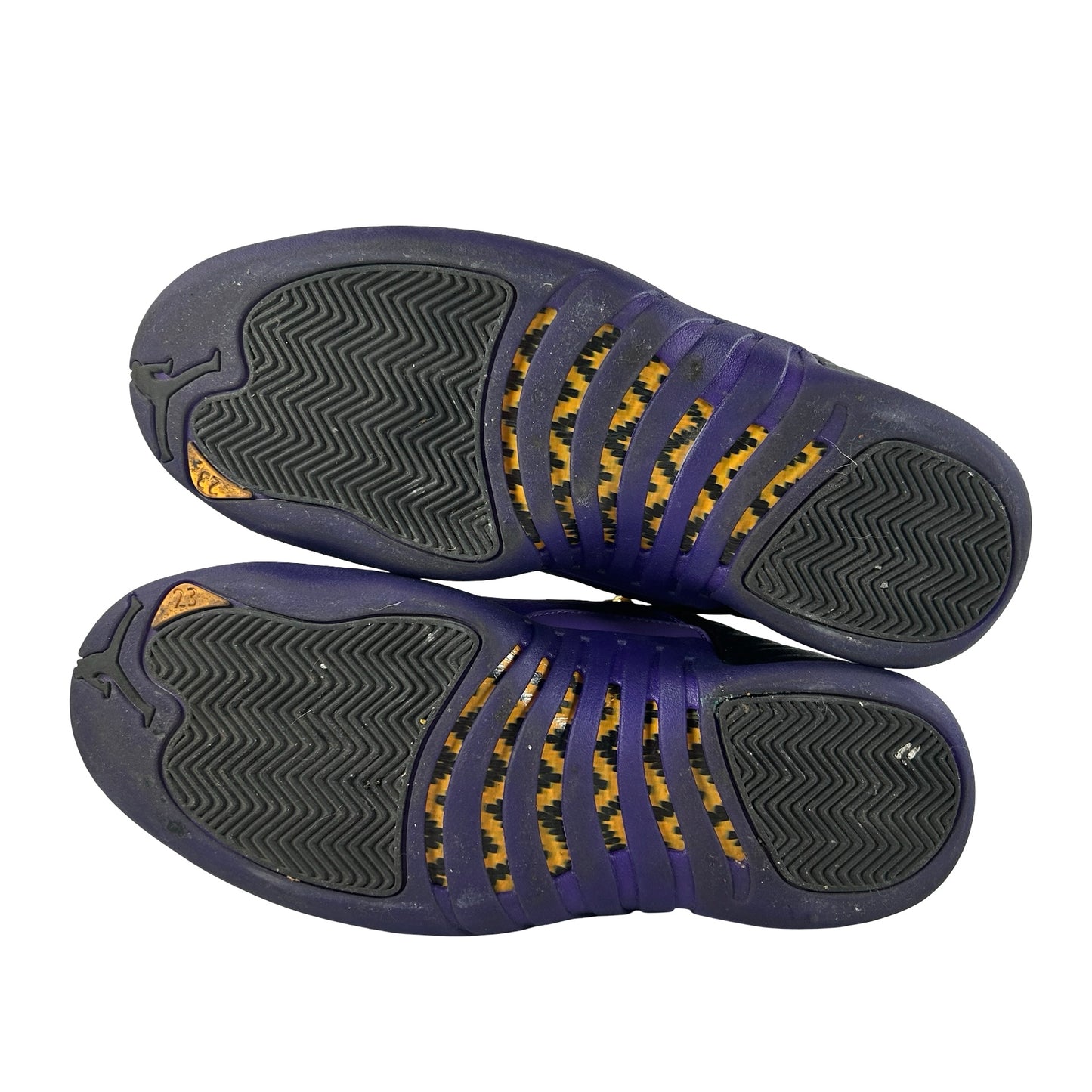 CT8013 057 Jordan 12 Retro Field Purple [USED] - 10 M (Used) (No Box)