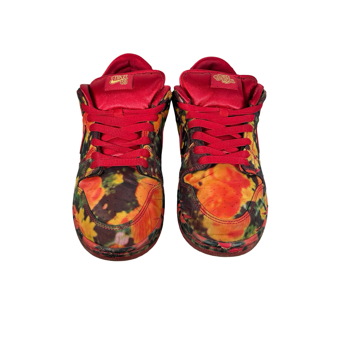 FZ1291 600 Nike SB Dunk Low The Wizard of Oz Poppy Field [USED] - 11 M (Used2)