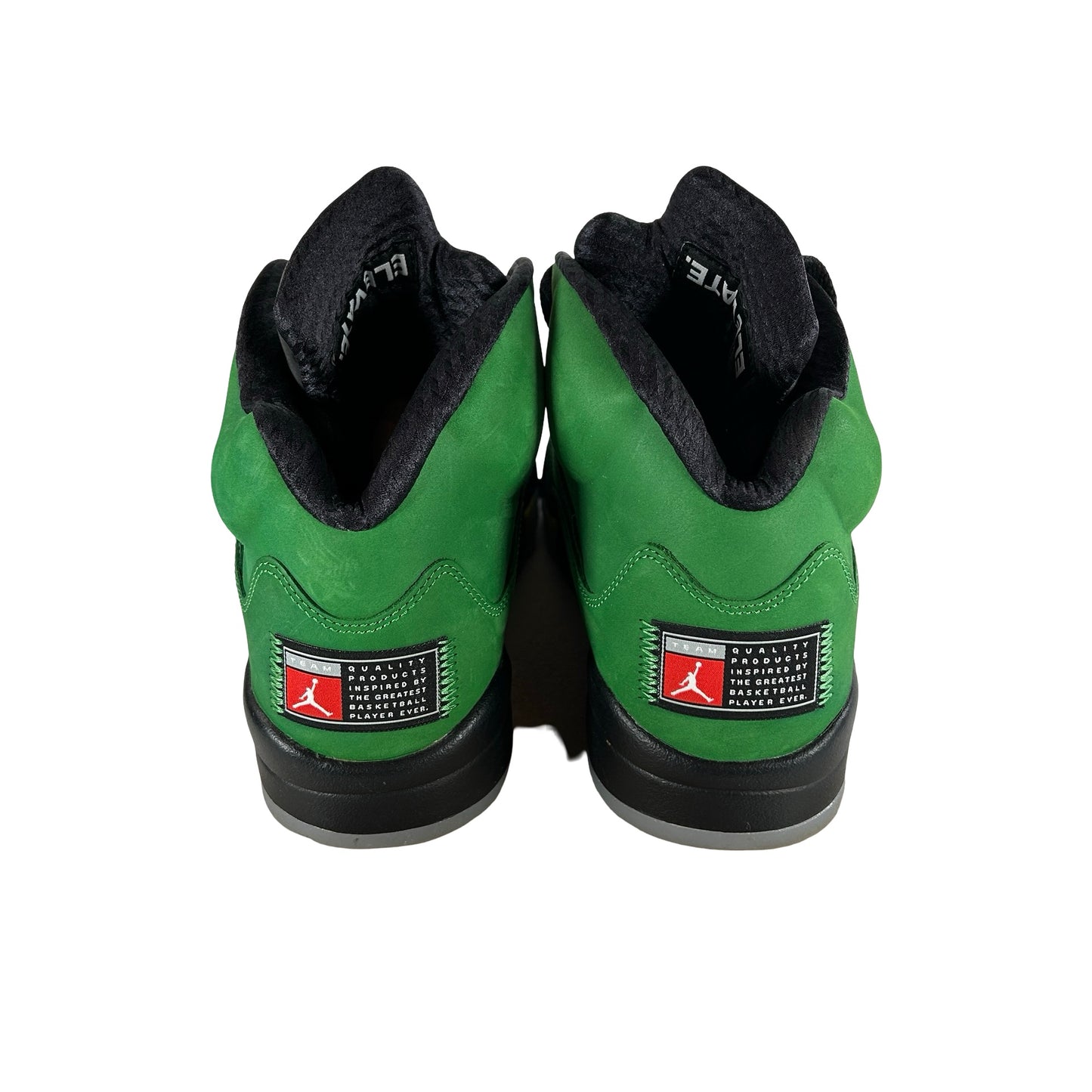 CK6631 307 Jordan 5 Retro SE Oregon [USED] - 12 M (Used3)