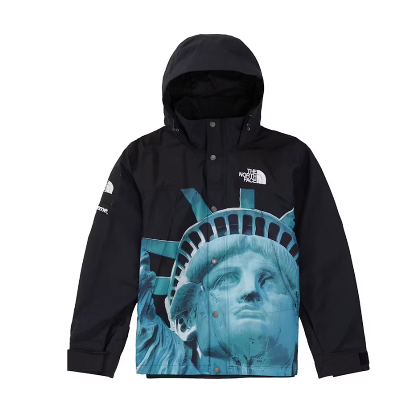 Supreme The North Face Statue of Liberty Mountain Jacket Black [USED] - M (Used)
