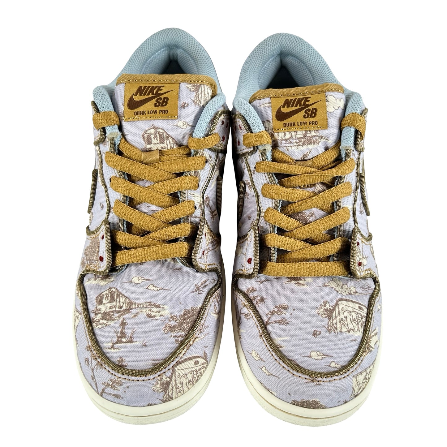 FN5880 001 Nike SB Dunk Low Premium City of Style [USED] - 9 M (Used)