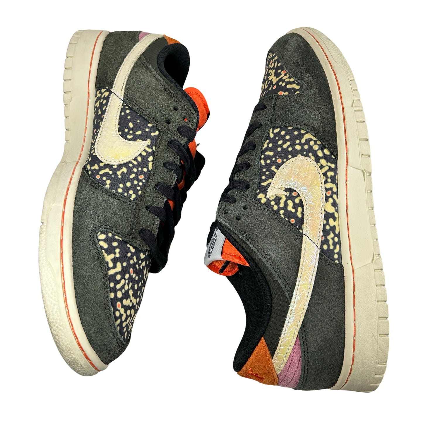 FN7523 300 Nike Dunk Low SE Gone Fishing Rainbow Trout [USED] - 10.5 M (Used)