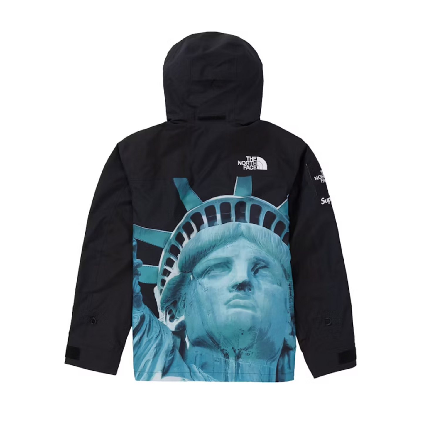 Supreme The North Face Statue of Liberty Mountain Jacket Black [USED] - M (Used)