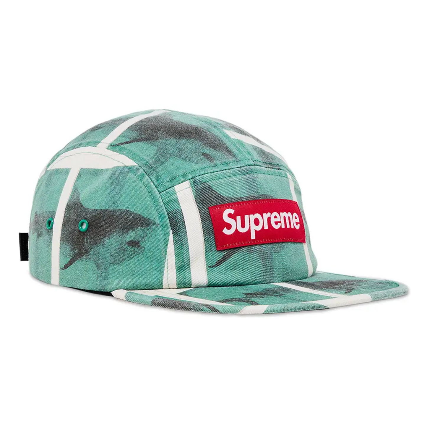Supreme x Damien Hirst Camp Cap 'White'