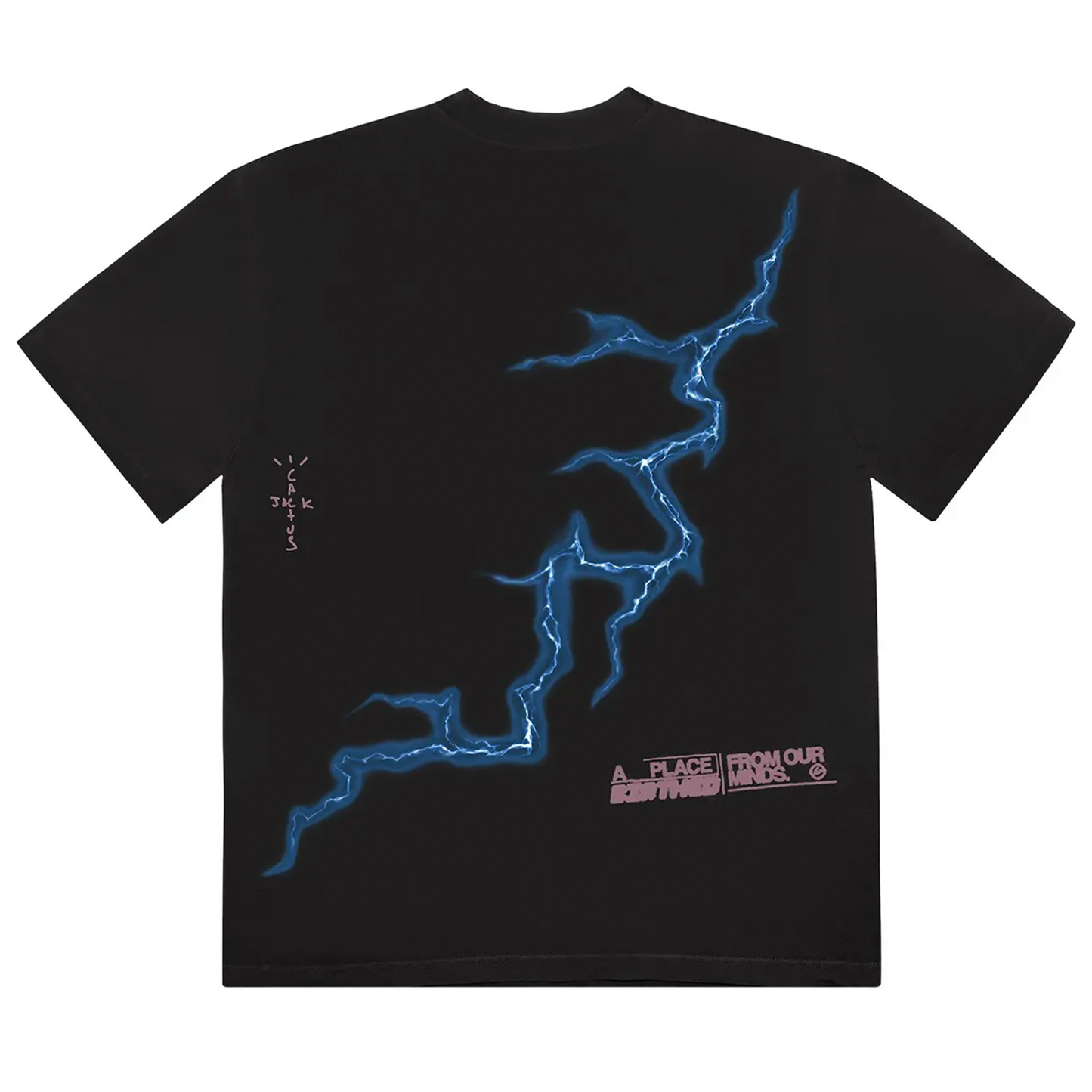 Travis Scott Cactus Jack For Fragment Danger Tee Washed Black