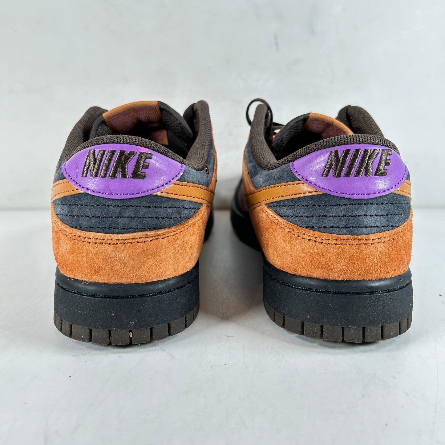 DH0601 001 Nike Dunk Low Sidra