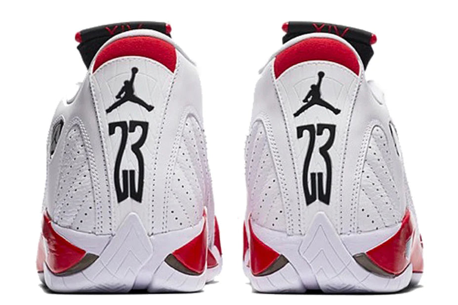 487471 100 Air Jordan 14 Retro Rip Hamilton