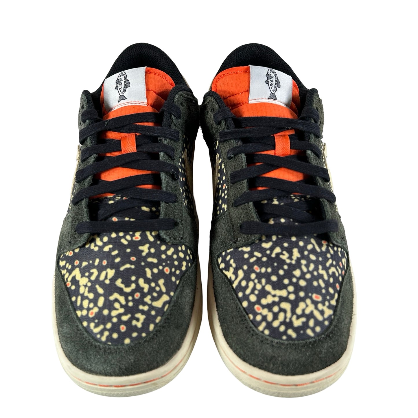 FN7523 300 Nike Dunk Low SE Gone Fishing Rainbow Trout [USED] - 10.5 M (Used)