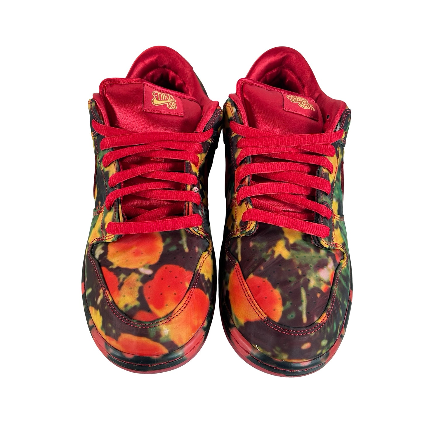 FZ1291 600 Nike SB Dunk Low The Wizard of Oz Poppy Field [USED] - 12 M (Used)