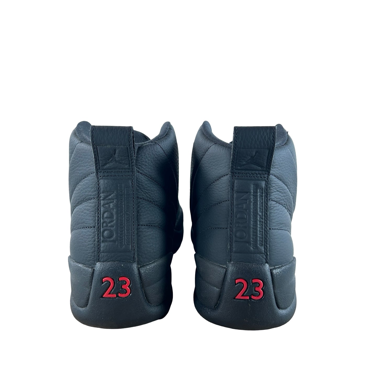 CT8013 003 Air Jordan 12 Retro Bloodline [USED] - 12 M (Used)