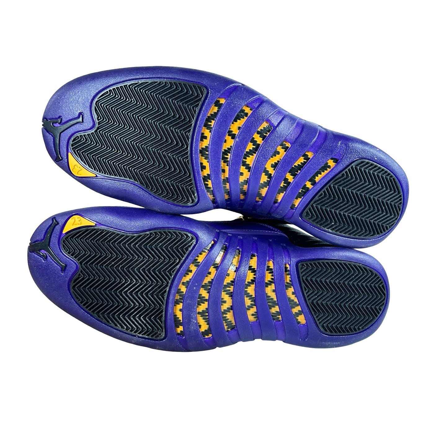 CT8013 057 Jordan 12 Retro Field Purple [USED] - 12 M (VNDS)