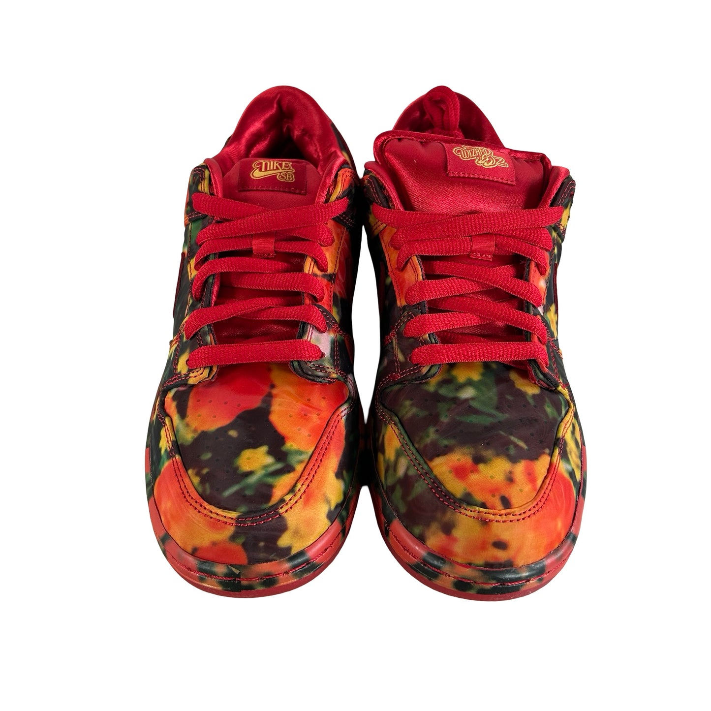 FZ1291 600 Nike SB Dunk Low The Wizard of Oz Poppy Field [USED] - 9.5 M (Used)