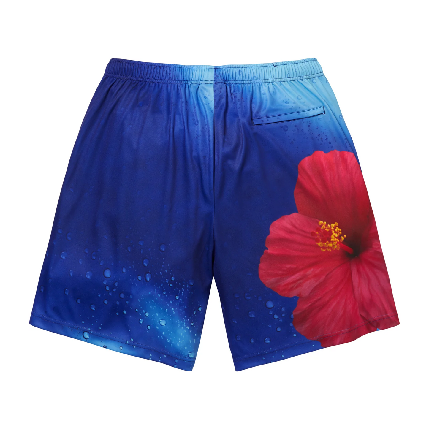 Supreme Fiji Soccer Short Multicolor