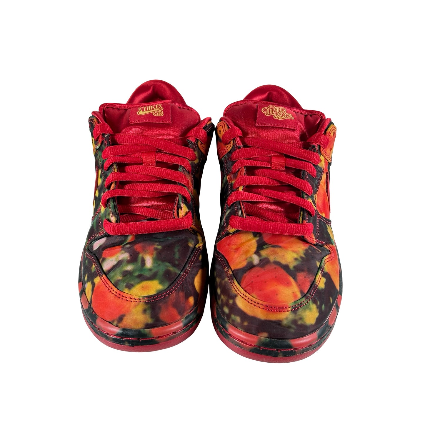 FZ1291 600 Nike SB Dunk Low The Wizard of Oz Poppy Field [USED] - 9 M (VNDS)