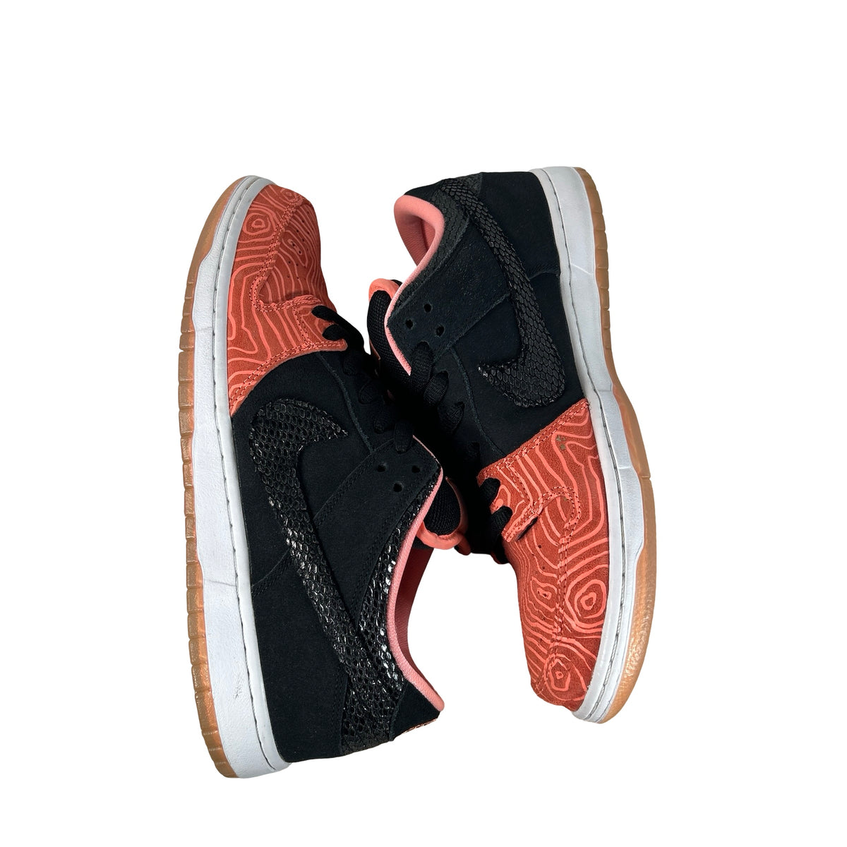 313170 603 Nike SB Dunk Low Premier Fish Ladder [USED] - 10.5 M (Used)