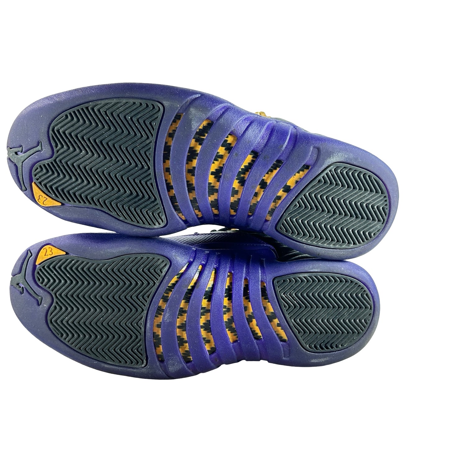 CT8013 057 Jordan 12 Retro Field Purple [USED] - 8 M (Used)