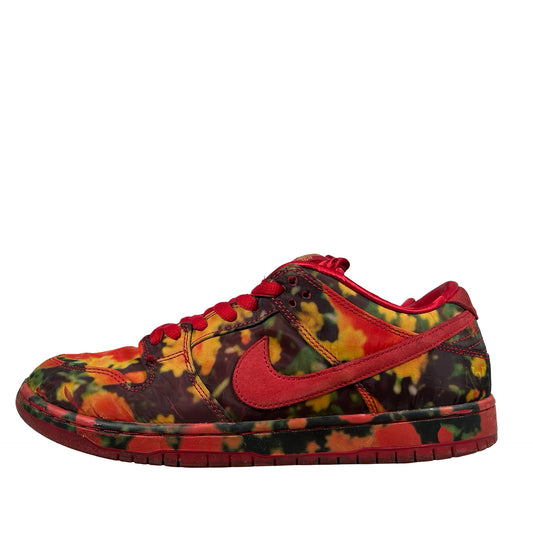FZ1291 600 Nike SB Dunk Low The Wizard of Oz Poppy Field [USED] - 11 M (Used2)