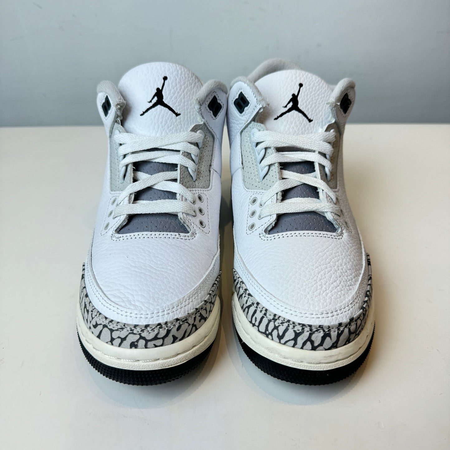 DX6665 100 Jordan 3 Retro Hide N' Sneak (GS) [USED] - 7 Y (Used)