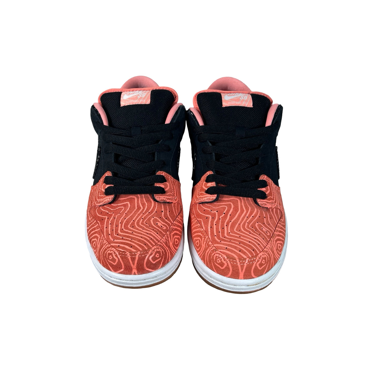 313170 603 Nike SB Dunk Low Premier Fish Ladder [USED] - 10.5 M (Used)