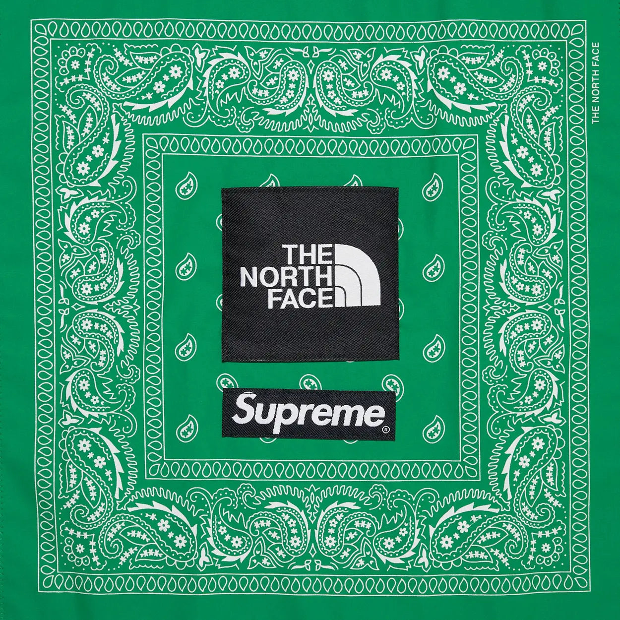 Supreme x The North Face Bandana Tee 'White' [USED] - XL (Used)