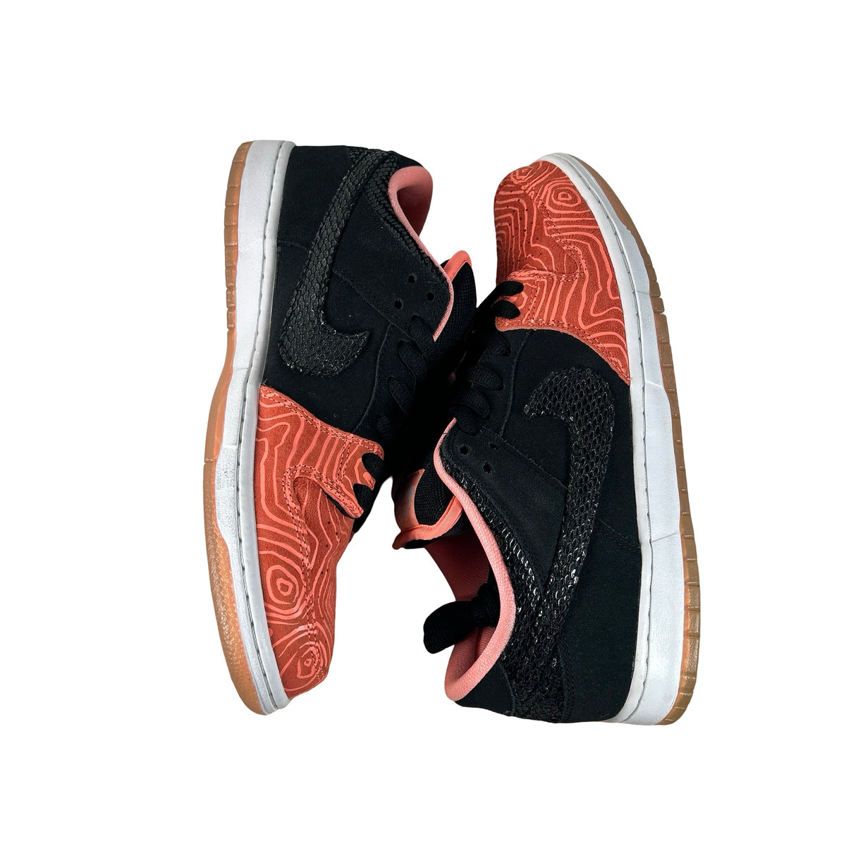 313170 603 Nike SB Dunk Low Premier Fish Ladder [USED] - 10.5 M (Used)