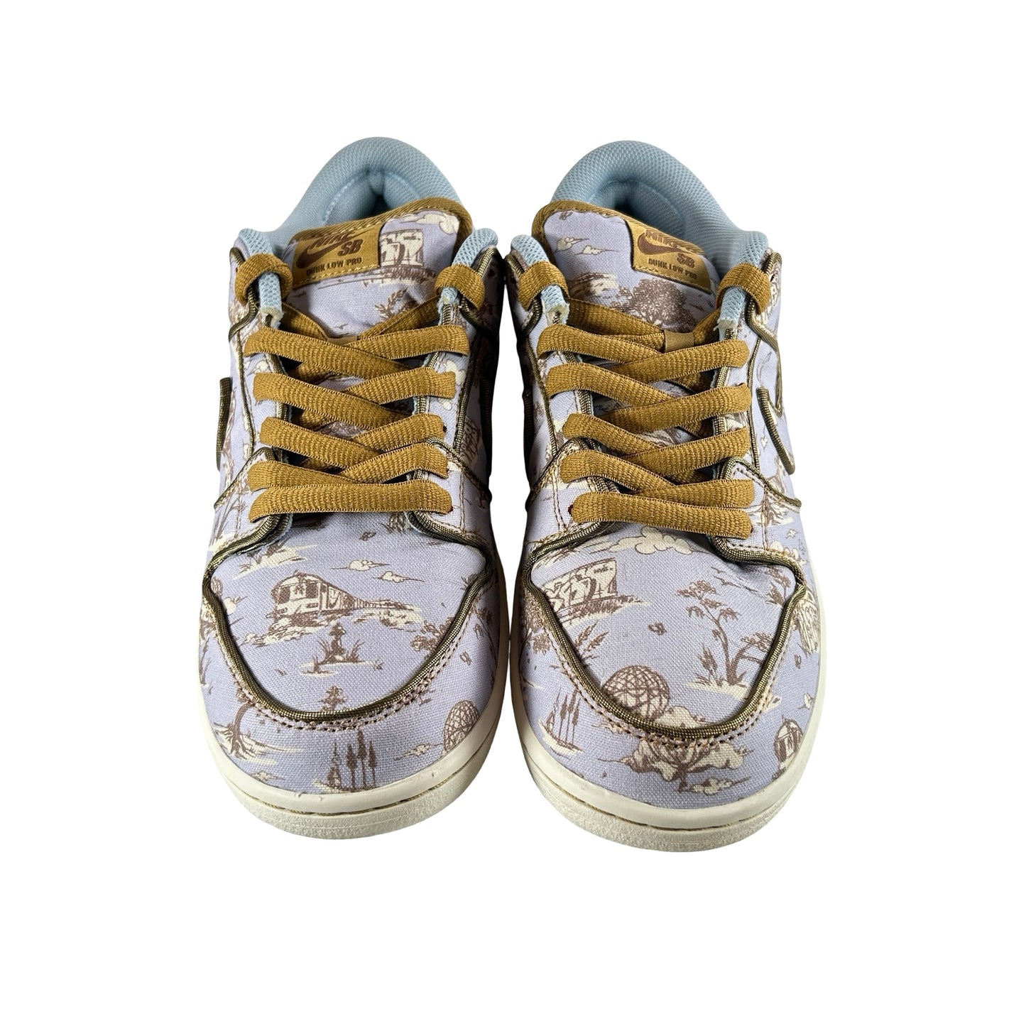 FN5880 001 Nike SB Dunk Low Premium City of Style [USED] - 11 M (Used)