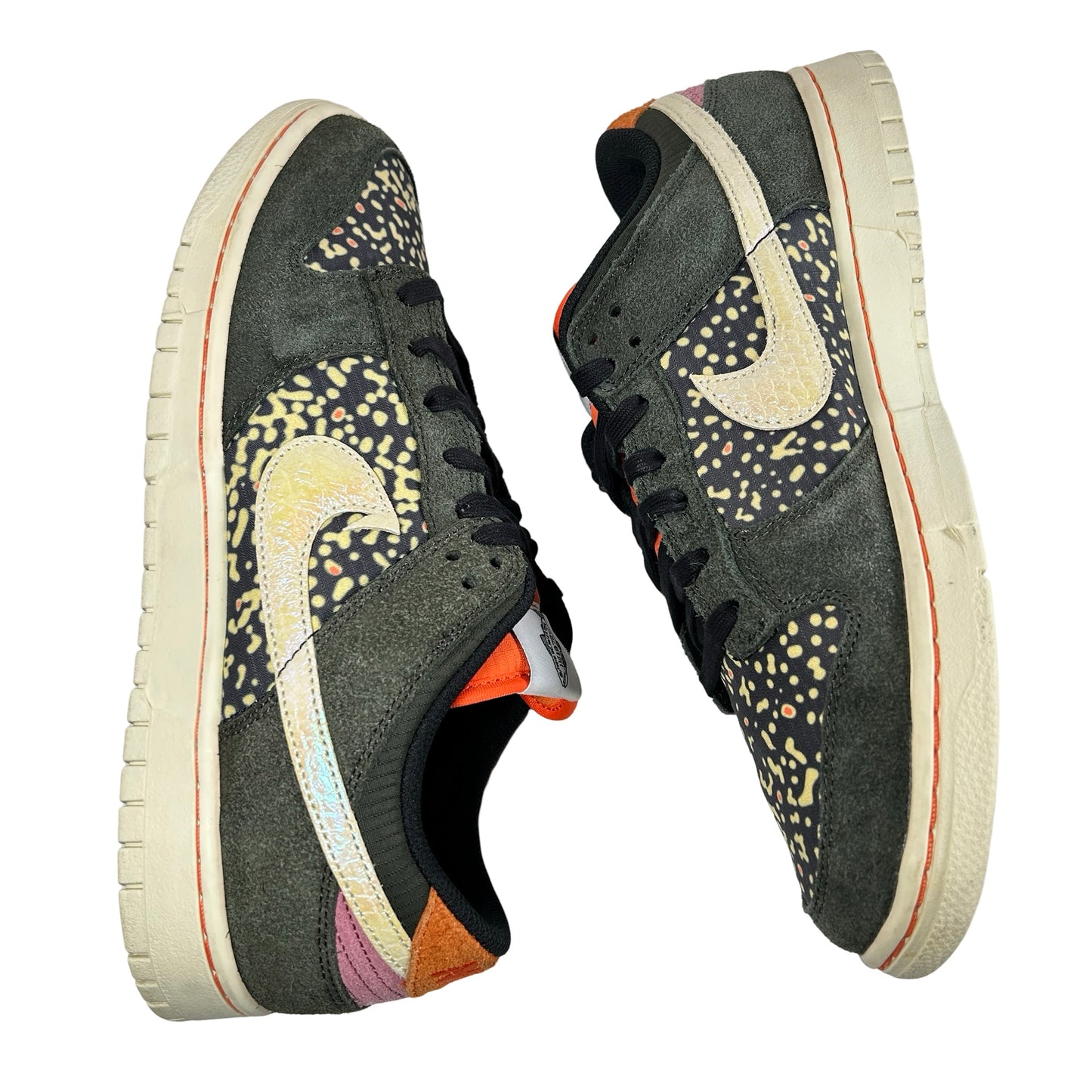 FN7523 300 Nike Dunk Low SE Gone Fishing Rainbow Trout [USED] - 10.5 M (Used)