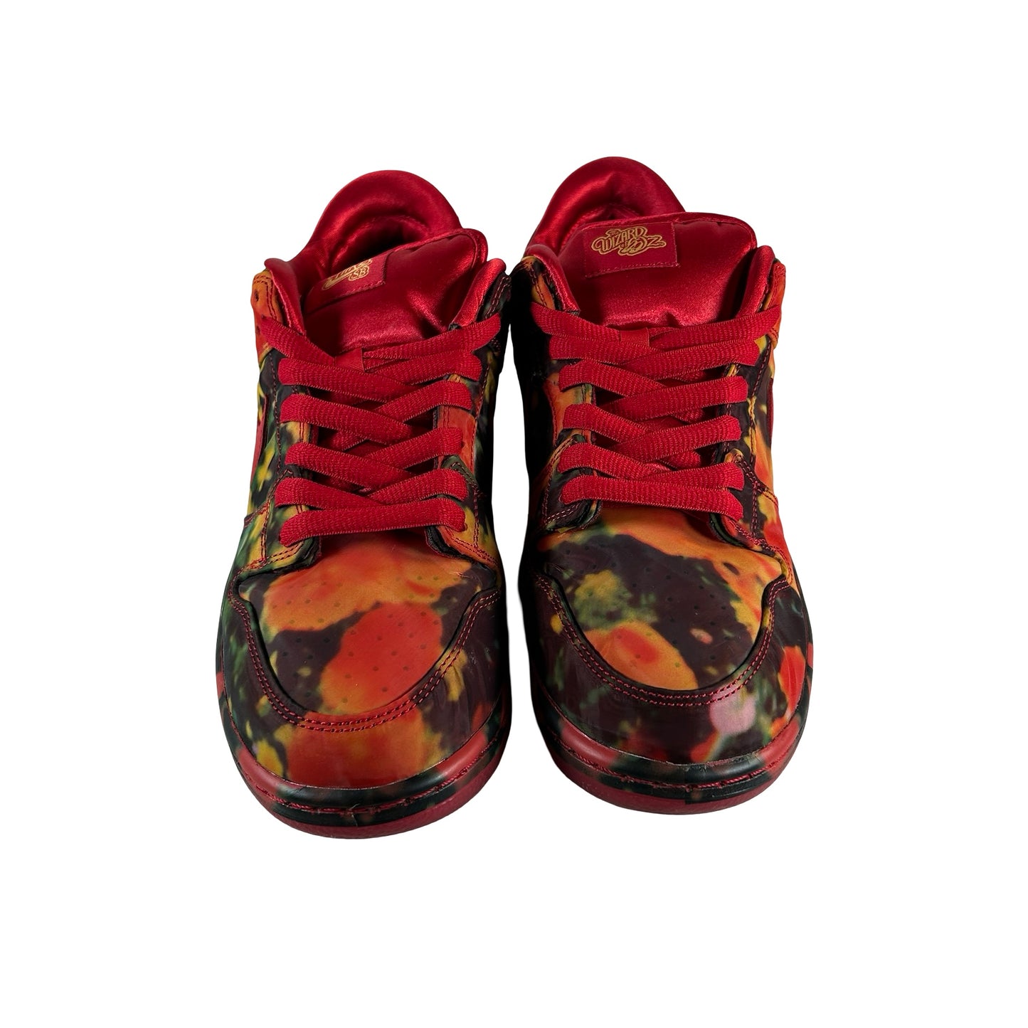 FZ1291 600 Nike SB Dunk Low The Wizard of Oz Poppy Field [USED] - 10 M (Used2)
