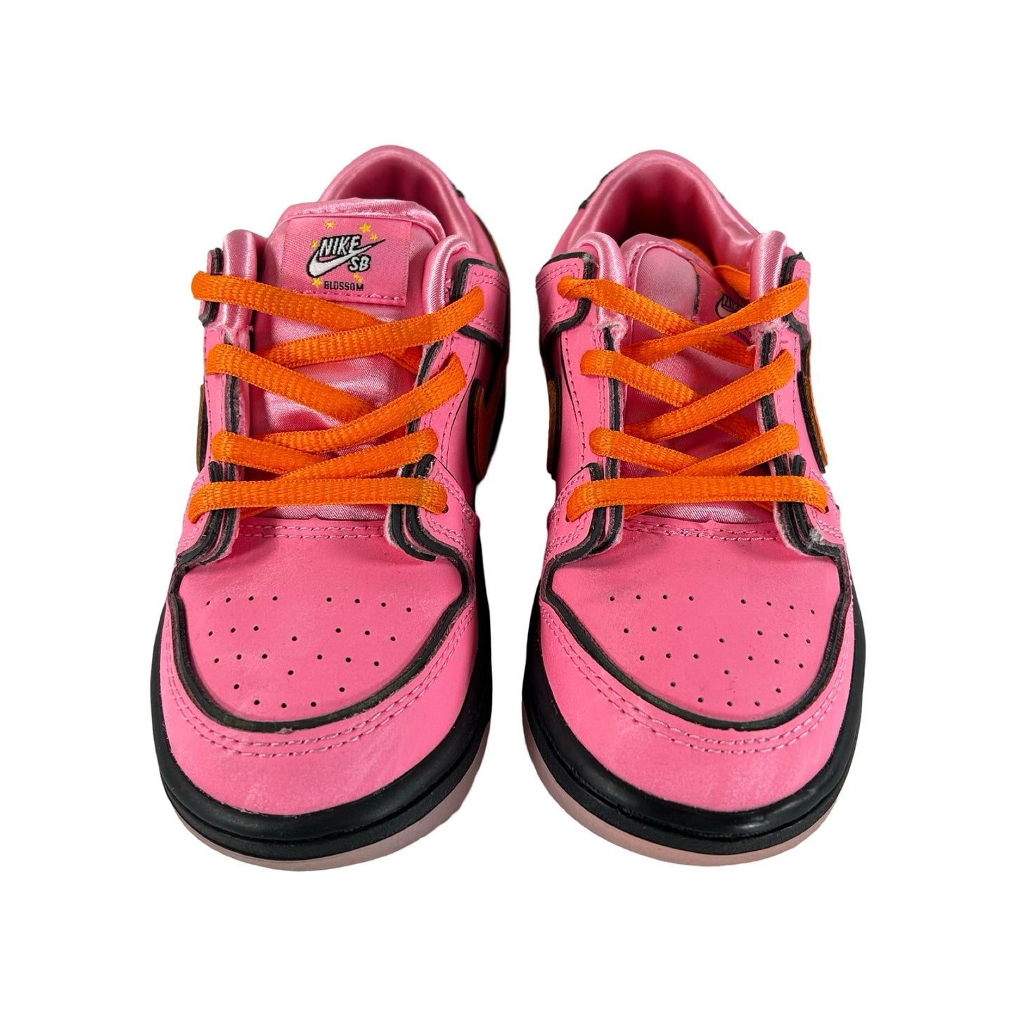 FZ3352 600 Nike SB Dunk Low The Powerpuff Girls Blossom (TD) [USED] - 9 C (VNDS)