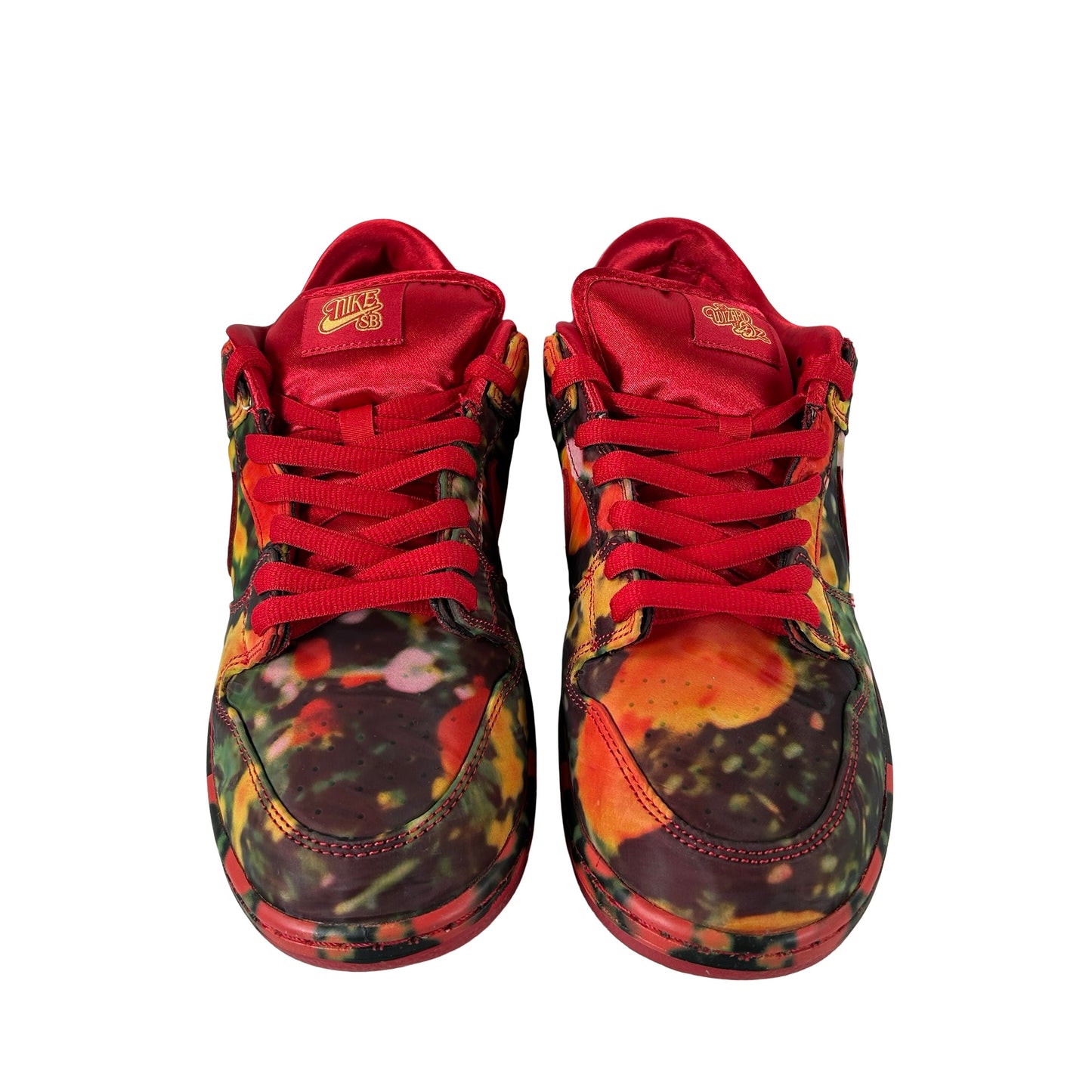 FZ1291 600 Nike SB Dunk Low The Wizard of Oz Poppy Field [USED] - 10.5 M (Used)