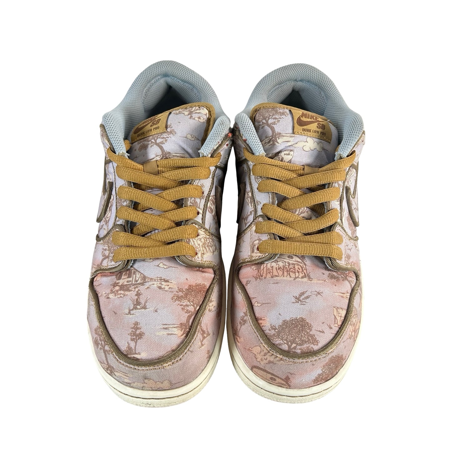FN5880 001 Nike SB Dunk Low Premium City of Style [USED] - 11 M (Used2)