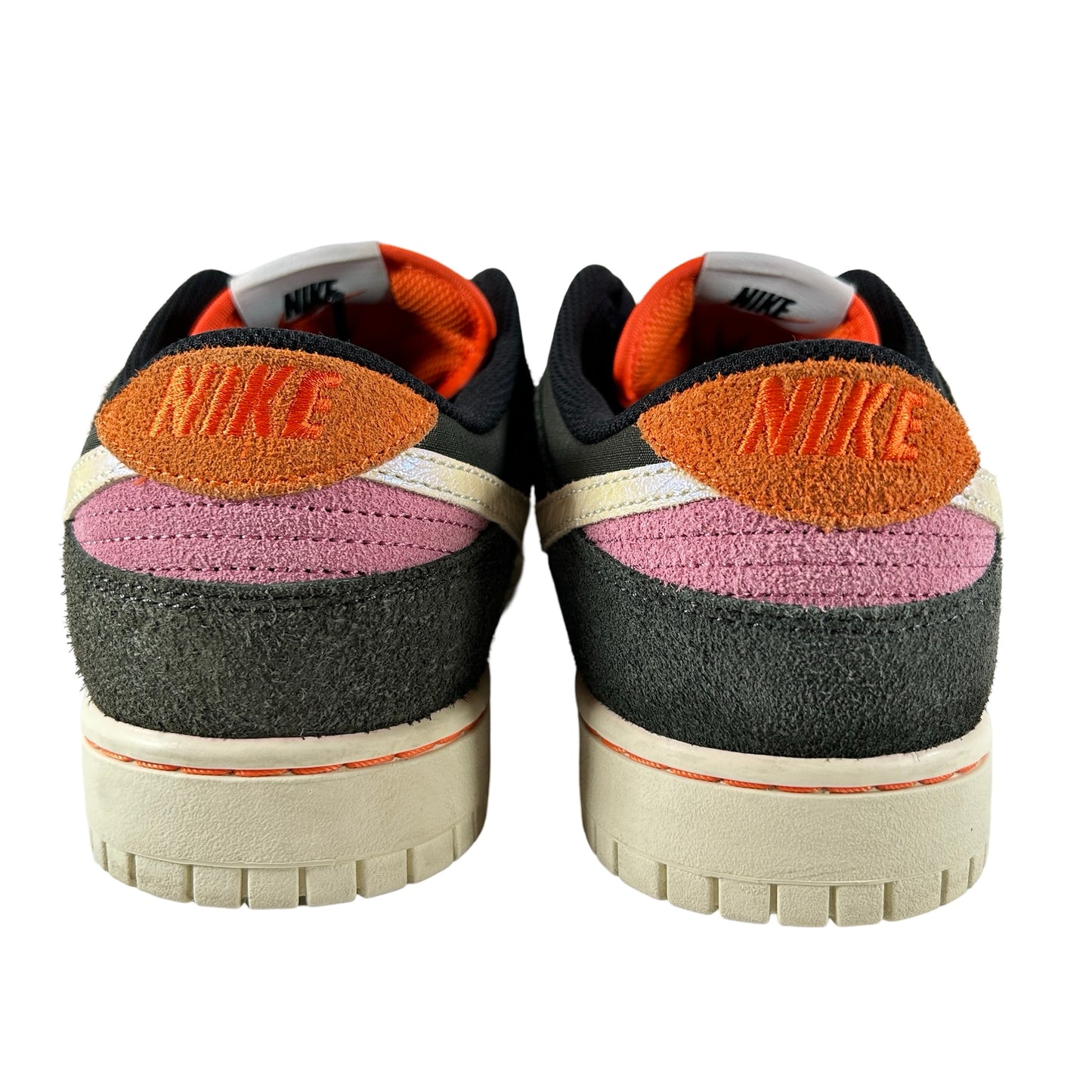 FN7523 300 Nike Dunk Low SE Gone Fishing Rainbow Trout [USED] - 10.5 M (Used)