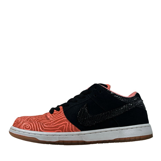 313170 603 Nike SB Dunk Low Premier Fish Ladder [USED] - 10.5 M (Used)