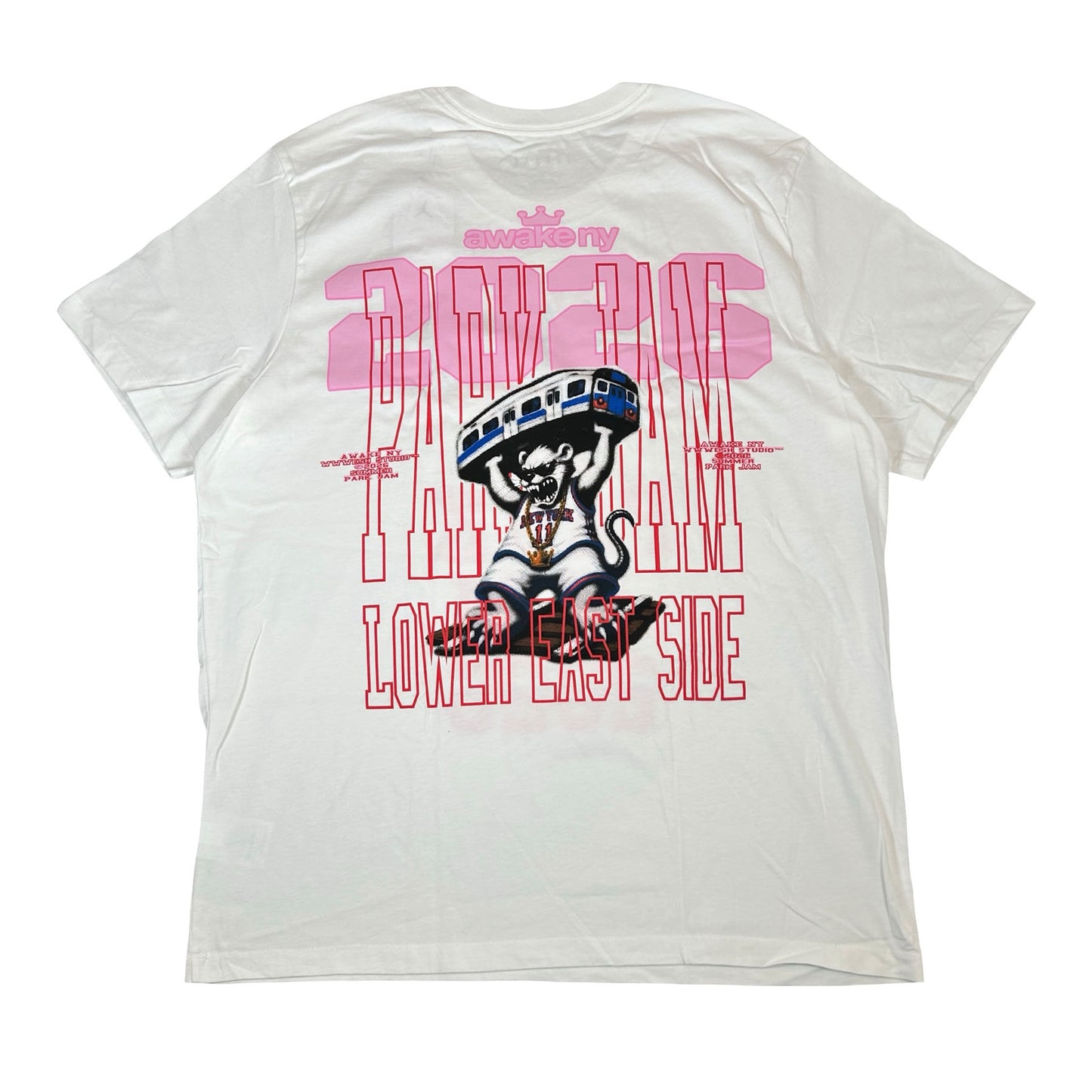 Awake NY Park Jam 2026 White Tee