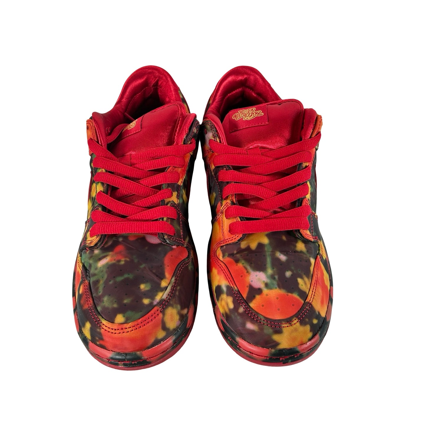 FZ1291 600 Nike SB Dunk Low The Wizard of Oz Poppy Field [USED] - 9 M (VNDS2)