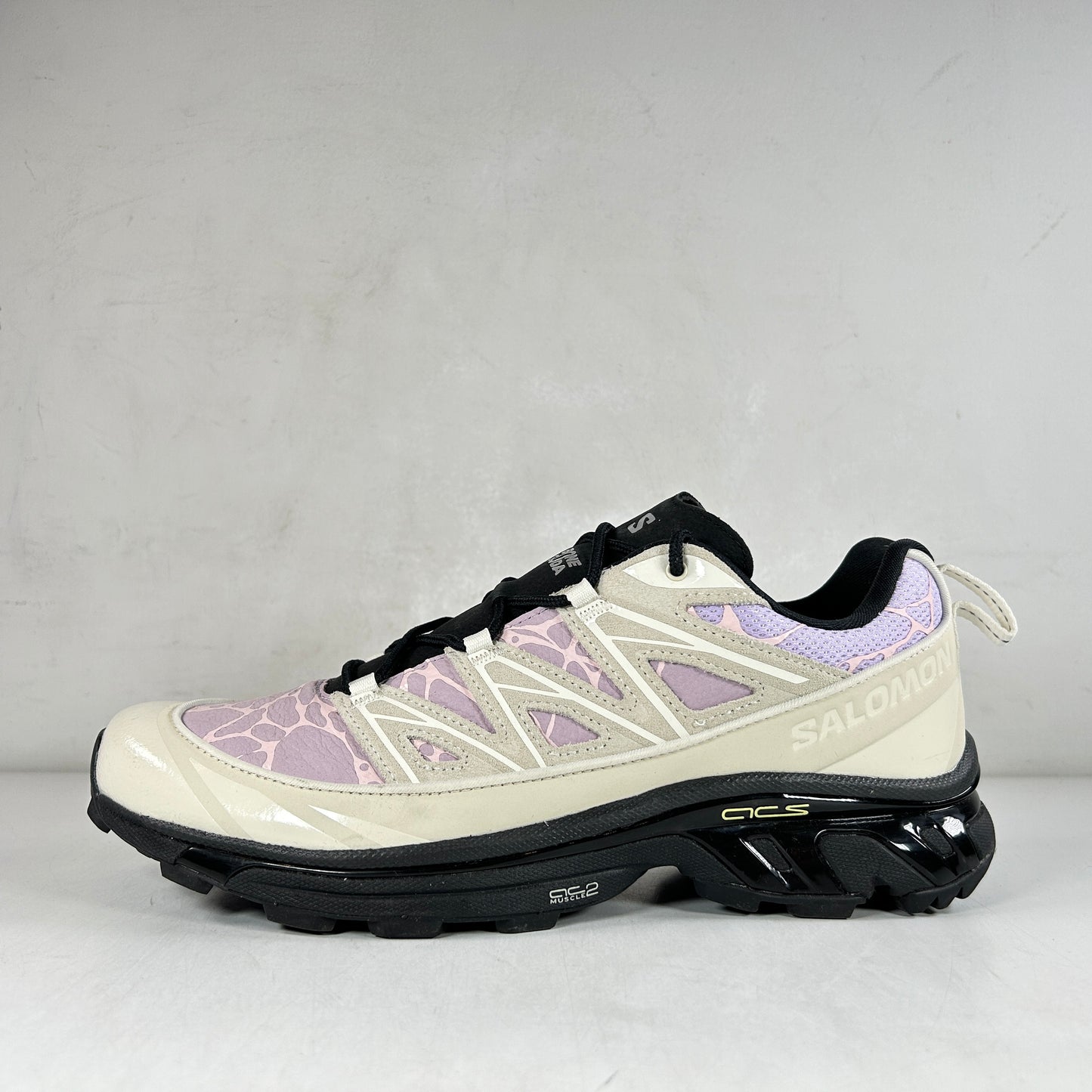 L47422300 Salomon XT-6 Expanse LTR Bone Soda [USED] - 10.5 M (Used)