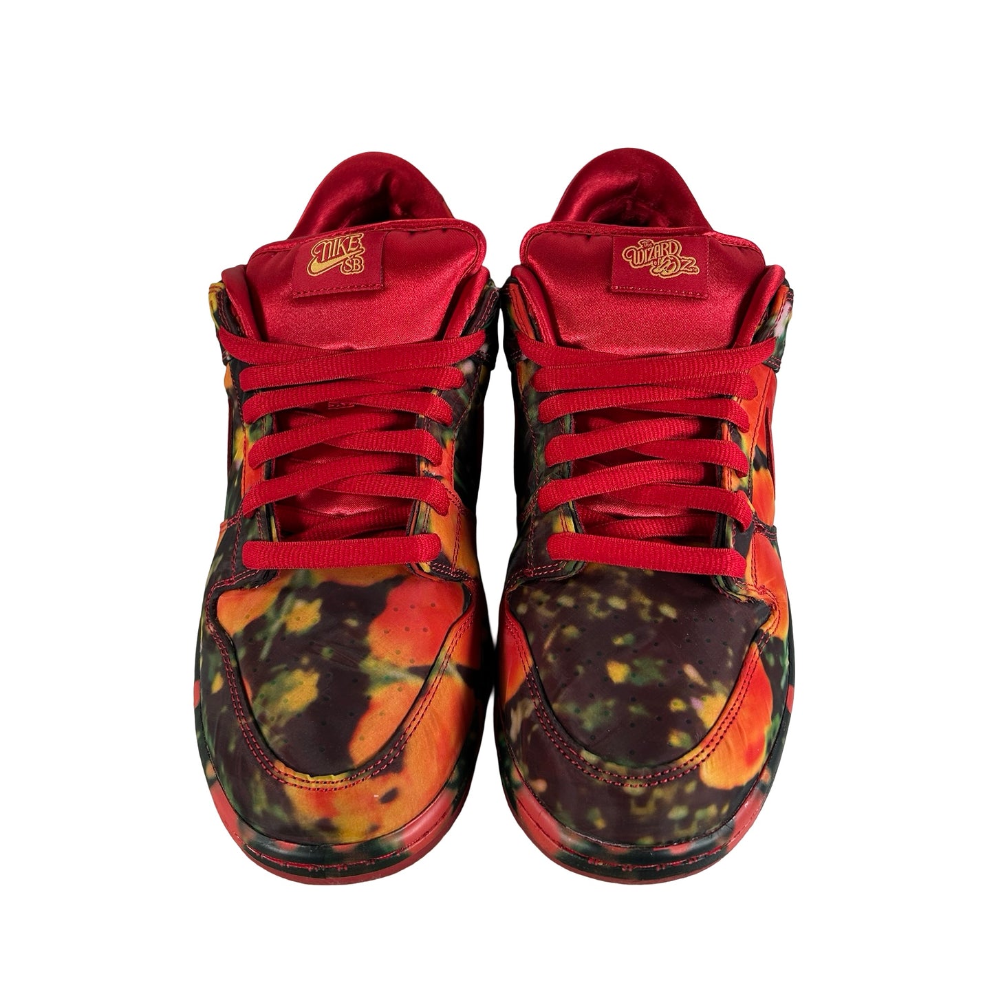 FZ1291 600 Nike SB Dunk Low The Wizard of Oz Poppy Field [USED] - 12 M (Used3)