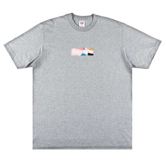 Supreme Emilio Pucci Box Logo Tee Heather Grey/Dusty Pink [USED] - L (Used)