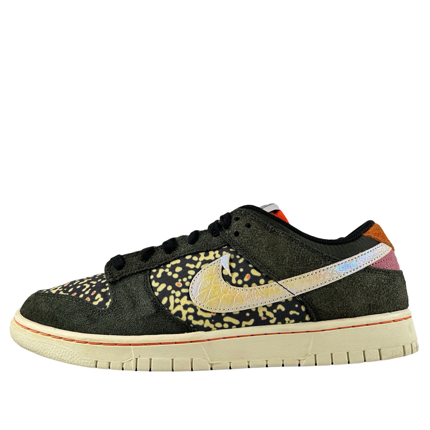 FN7523 300 Nike Dunk Low SE Gone Fishing Rainbow Trout [USED] - 10.5 M (Used)