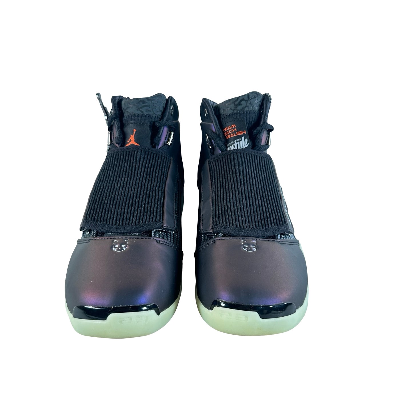IO7684 921 Air Jordan 17 Retro Doernbecher Zach Rumbaugh [USED] - 9.5 M (Used)