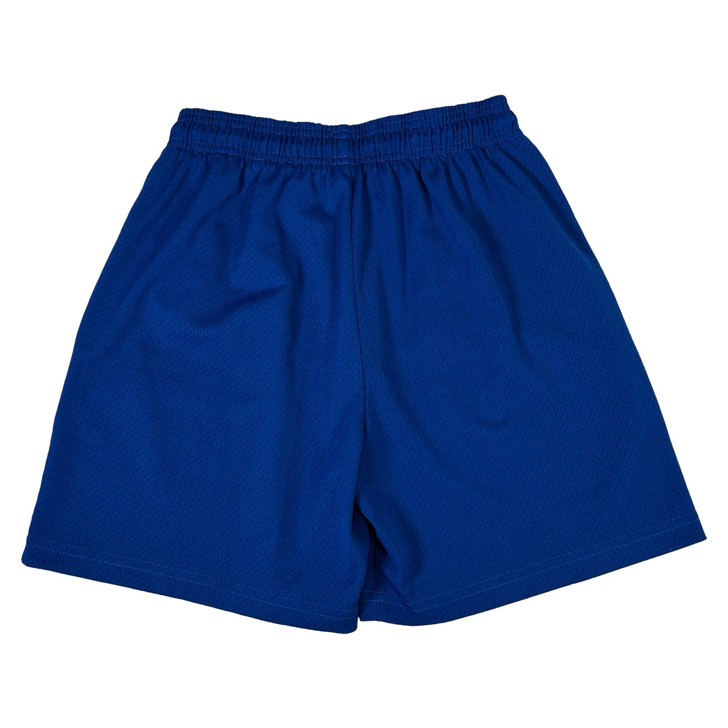 Eric Emanuel EE Knicks Short Blue [USED] - S (Used)