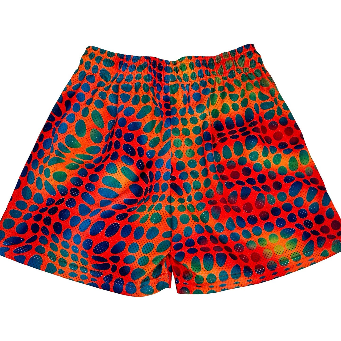 Eric Emanuel EE Short Multicolor/Baby Blue [USED] - M (Used)